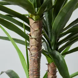 180cm Yucca Decorative Plant with Pot
