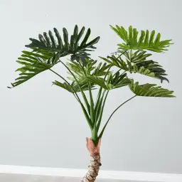 120cm Philodendron Decorative With Plot