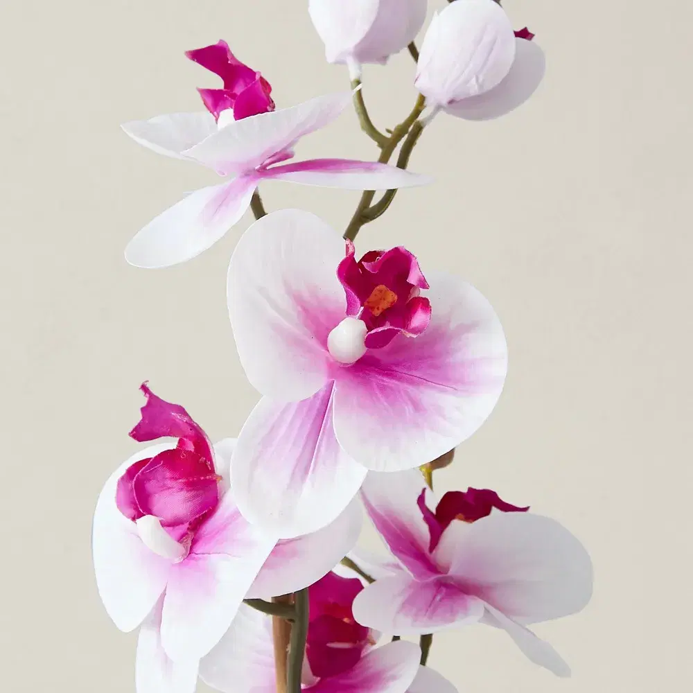 44cm Phalaenopsis Decorative Plant With Pot