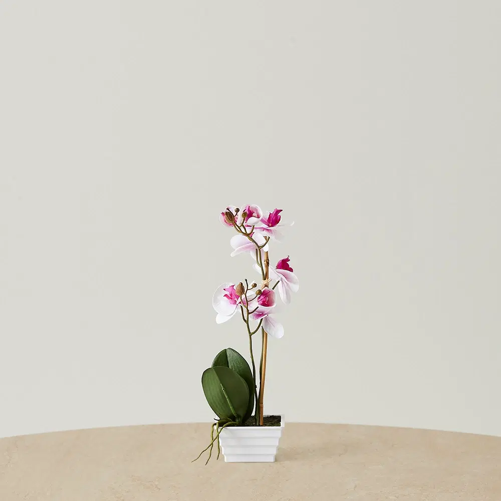44cm Phalaenopsis Decorative Plant With Pot