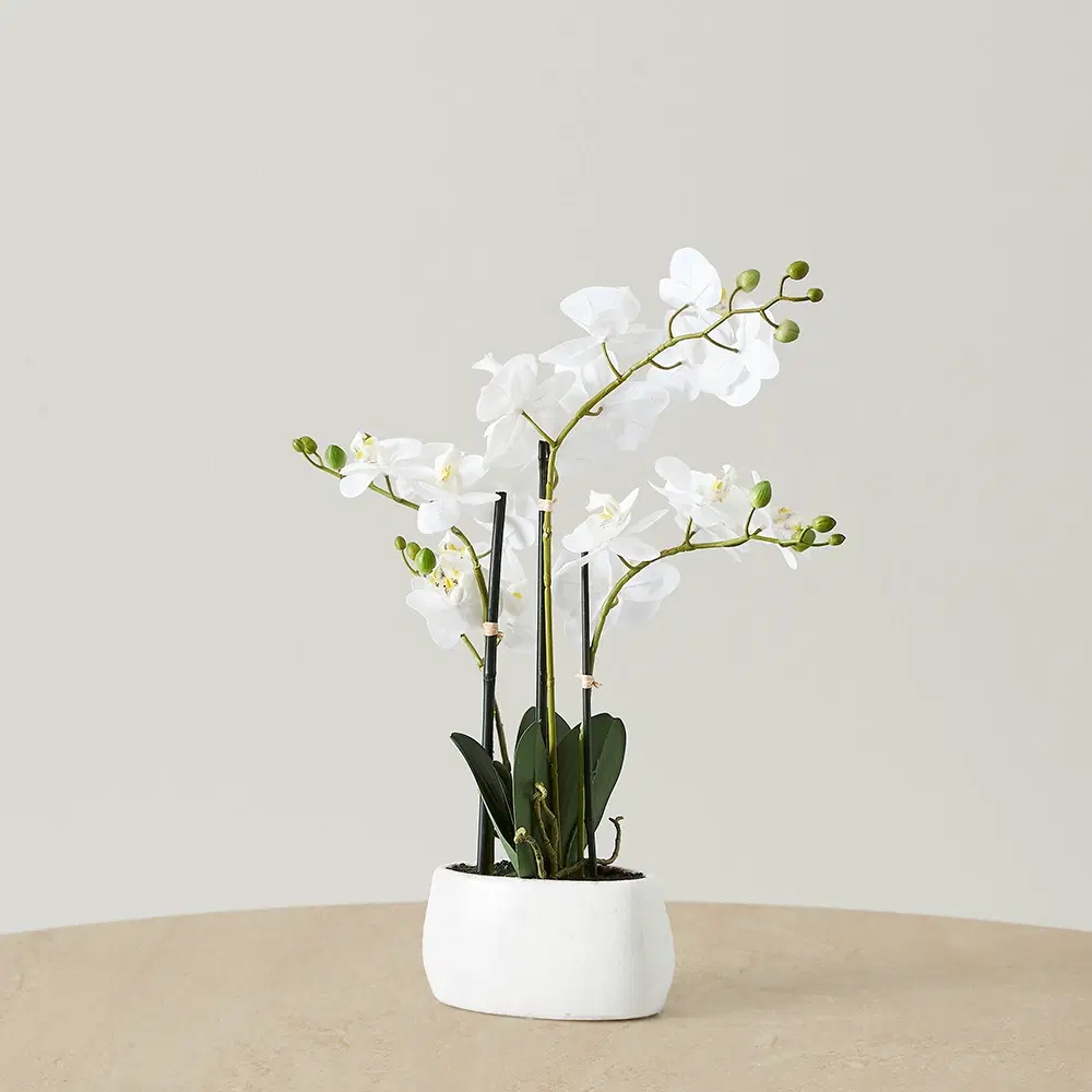 56cm Phalaenopsis Decorative Plant With Pot