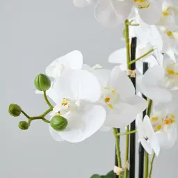 56cm Phalaenopsis Decorative Plant With Pot