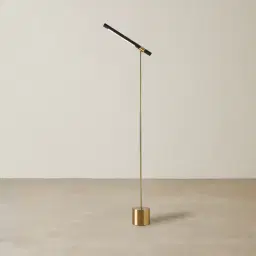 Kaia Brushed Gold Metal Floor Lamp Black Frosted Metal Shade