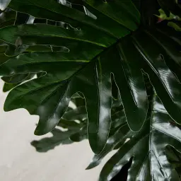 180cm Philodendron II Decorative Plant