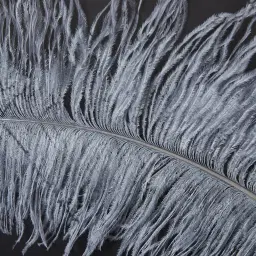 Grey Feather Shadow Box