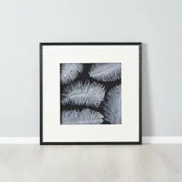 Grey Feather Shadow Box