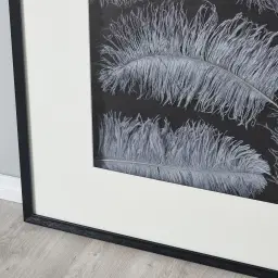 Grey Feather Shadow Box