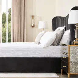 Madrid Charcoal Velvet Queen Bed