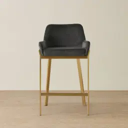 Arya II Charcoal Velvet 67cm Counter Stool - Brushed Gold Metal Legs