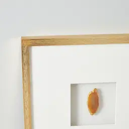 Terra Brown Agate Shadow Box With Gold Frame