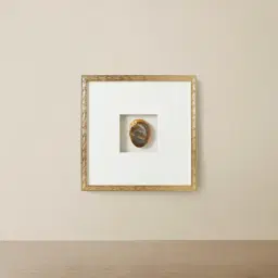 Elemental Agate Shadow Box With Gold Frame
