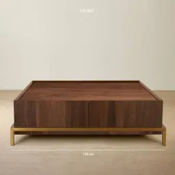 Noah Dark Walnut Veneer Coffee Table - Gold Metal Frame
