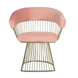 Eros Armchair Pink