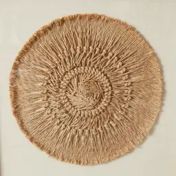 Cycles Hemp Rope Shadow Box with Golden Frame