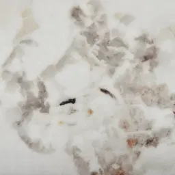 Terzetto Pandora Brown Sintered Stone Round Side Table - Medium Brown Wooden Legs