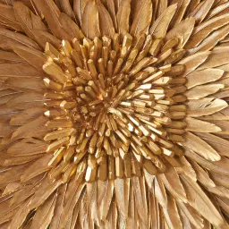 Feather Shadow Box with Golden Frame