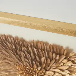 Feather Shadow Box with Golden Frame