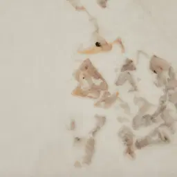 Portobello Light Brown Ash Veneer Entertainment Unit - Pandora Brown Sintered Stone Top