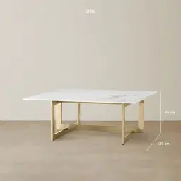 Dianne White Grey-Streaked Sintered Stone Coffee Table - Brushed Champagne Gold Stainless Steel Frame