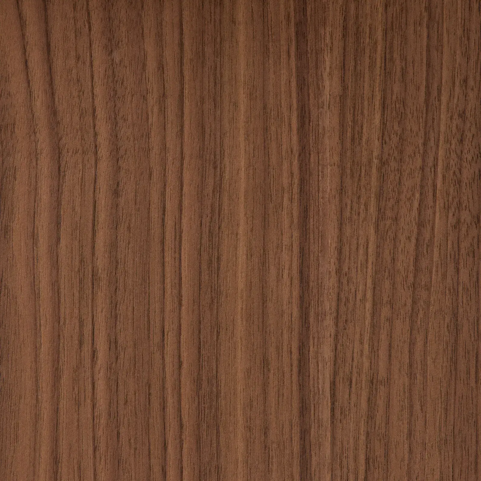 Sierra Walnut Brown Coffee Table - Sintered Stone Top