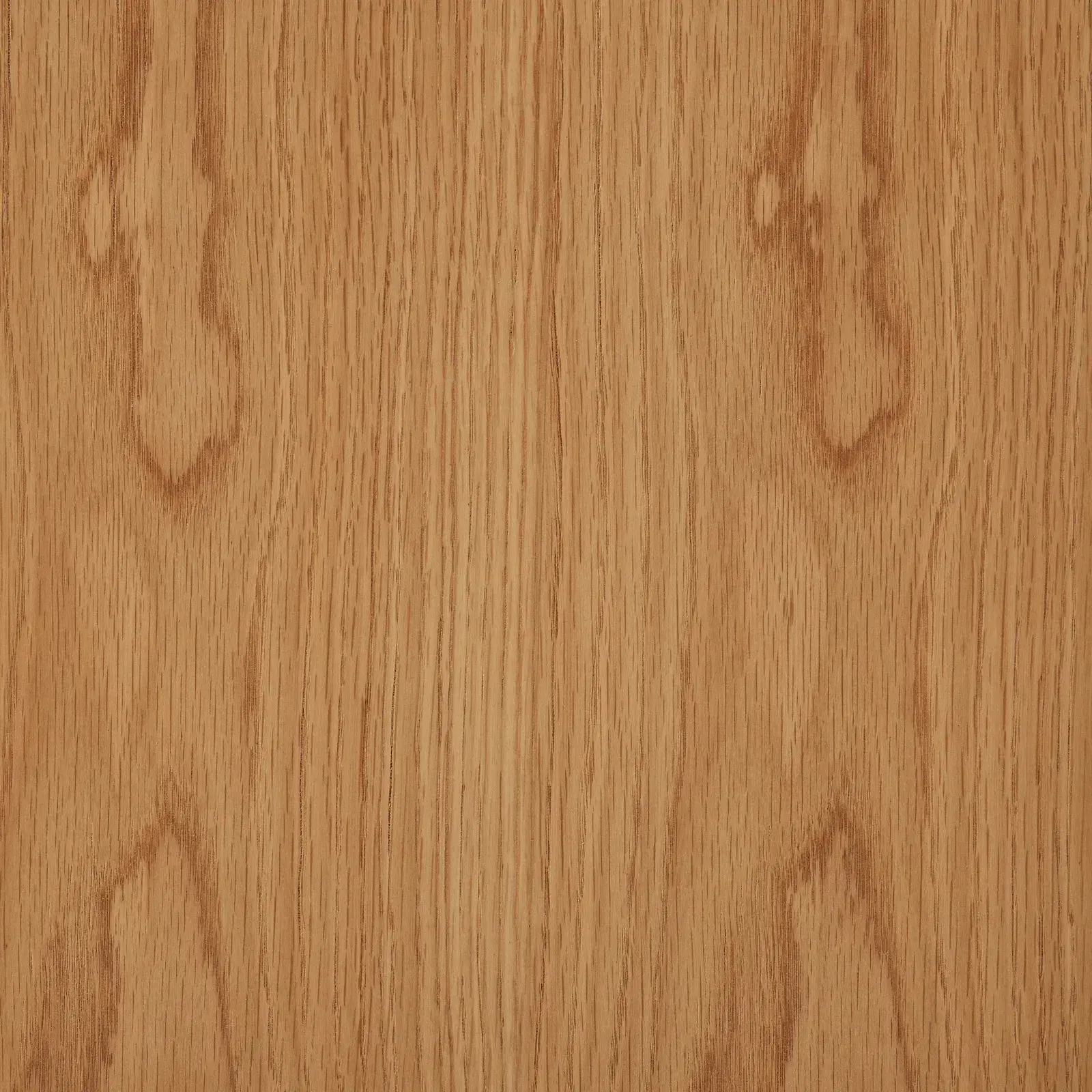 Terzetto Kids Light Oak Veneer Bookshelf