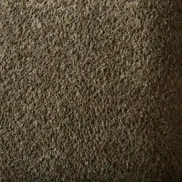 Delphine Winter Moss Woven Fabric Occasional Chair