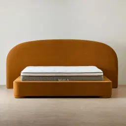 Estelle Velvet Mustard Velveteen Fabric King Bed
