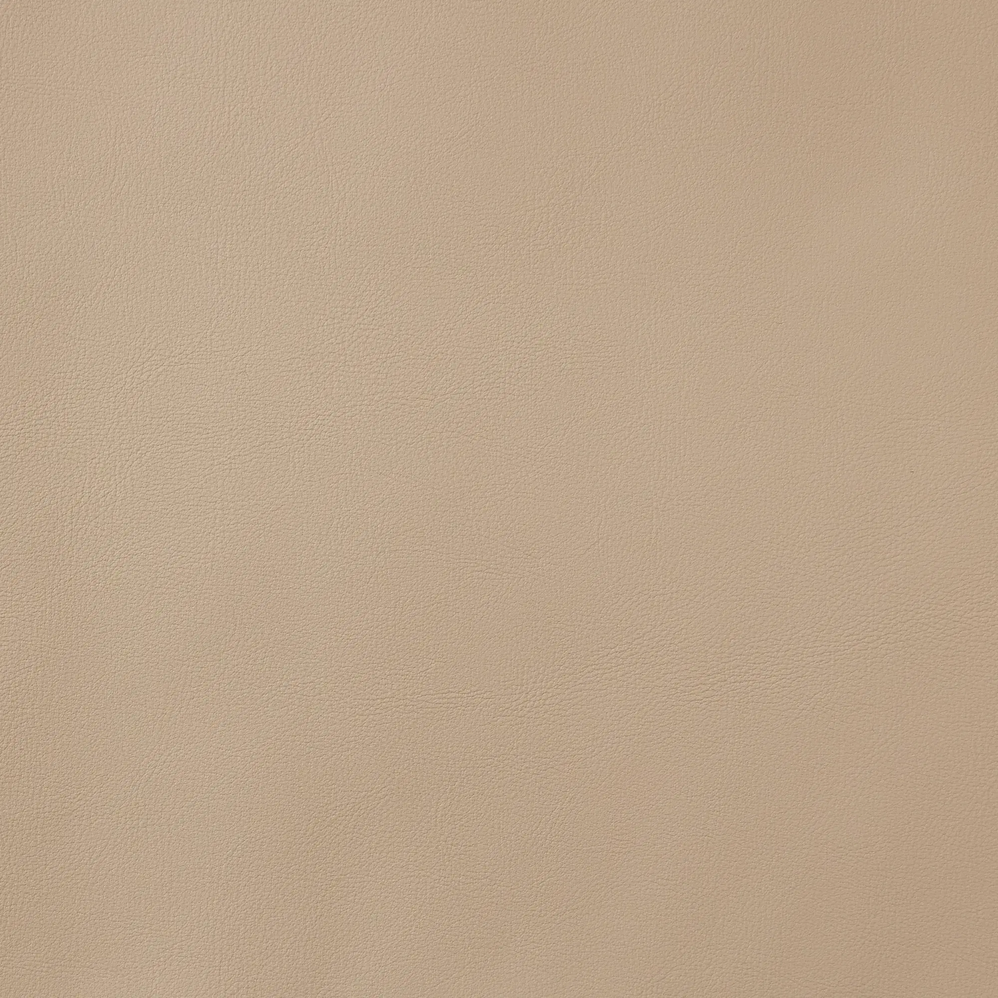 Adrianna Sand Beige Vegan Leather Desk Chair