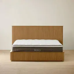 San Pierre Light Brown Ash Veneer King Bed