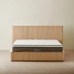 San Pierre Light Brown Ash Veneer King Bed