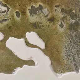 Eucalypt Reverie Painting 140x230cm