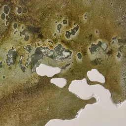 Eucalypt Reverie Painting 140x230cm