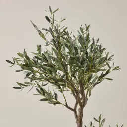Olive Tree 150cm Decorative Plant