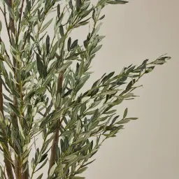 Olive Tree 250cm Decorative Plant