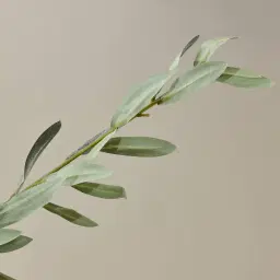Olive Tree 250cm Decorative Plant