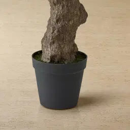 Olive Tree 300cm Decorative Plant