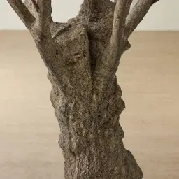 Olive Tree 300cm Decorative Plant