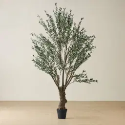 Olive Tree 300cm Decorative Plant