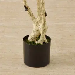 Birch Tree 180cm Decorative Plant