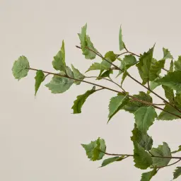 Birch Tree 180cm Decorative Plant