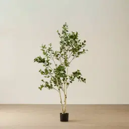 Birch Tree 210cm Decorative Plant