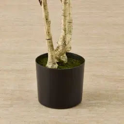 Birch Tree 210cm Decorative Plant