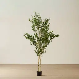 Birch Tree 240cm Decorative Plant