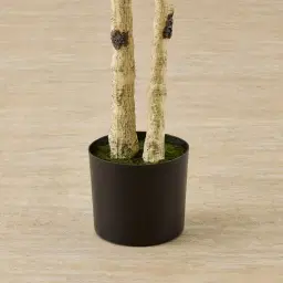 Birch Tree 240cm Decorative Plant