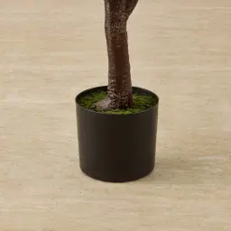 Fiddle Leaf Fig Tree 210cm Decorative Plant
