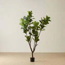 Fiddle Leaf Fig Tree 210cm Decorative Plant