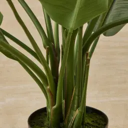 Banana Tree 180cm Decorative Plant