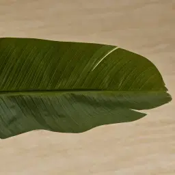 Banana Tree 180cm Decorative Plant