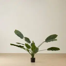 Banana Tree 180cm Decorative Plant