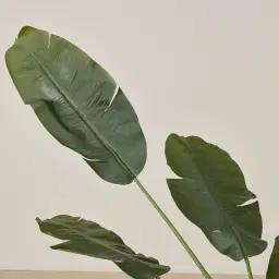 Banana Tree 180cm Decorative Plant